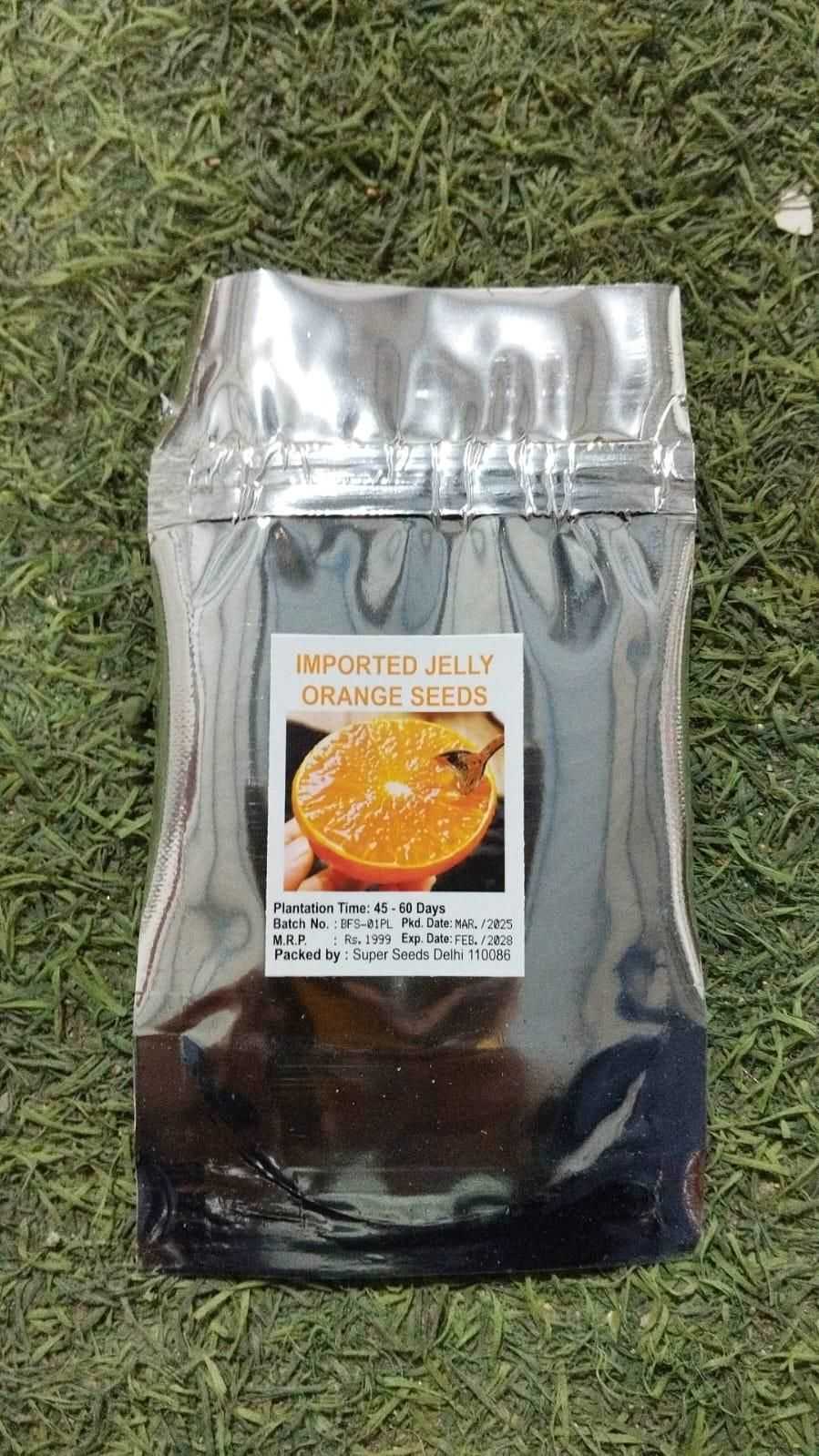 Jelly Orange Seeds - Harappakart