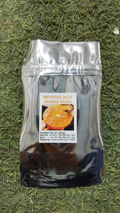 Jelly Orange Seeds - Harappakart