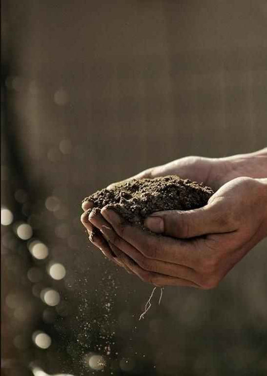 Organic Vermicompost 500gm - Harappakart
