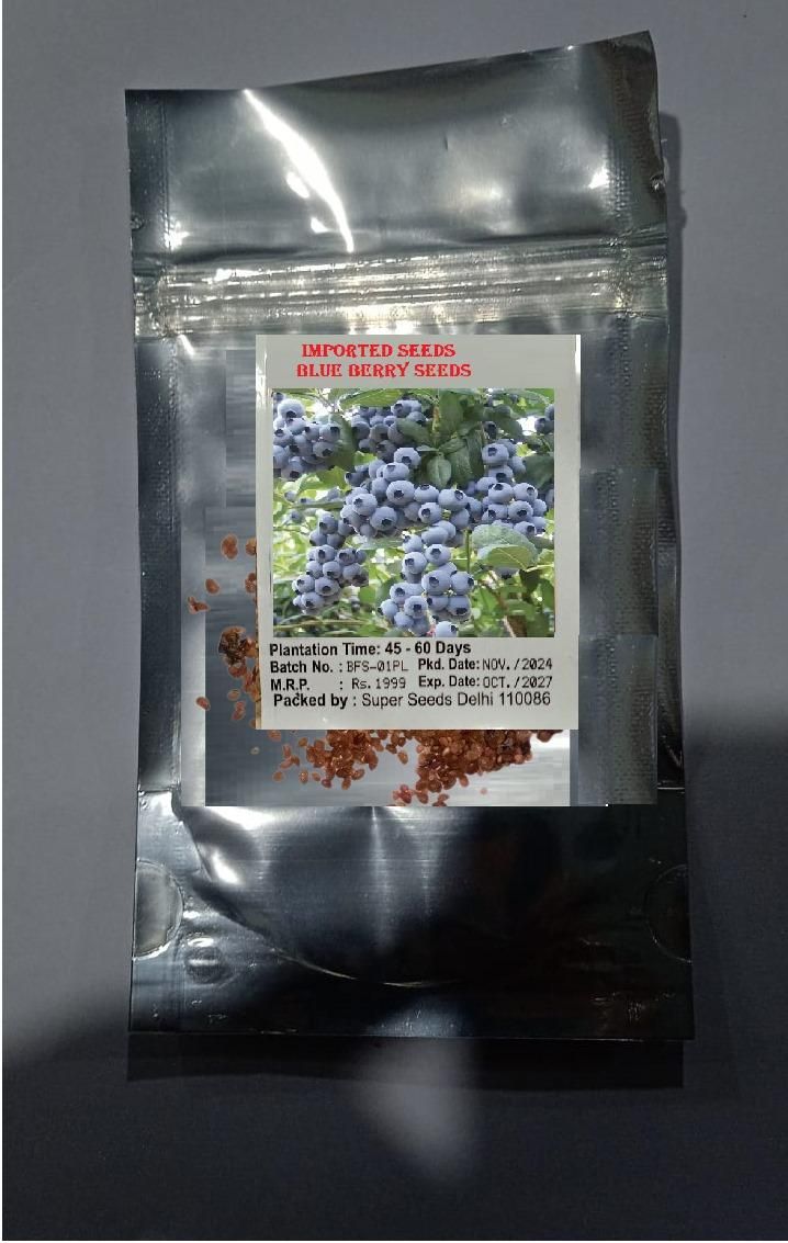 Giant Blueberry Fruit Seeds - Harappakart
