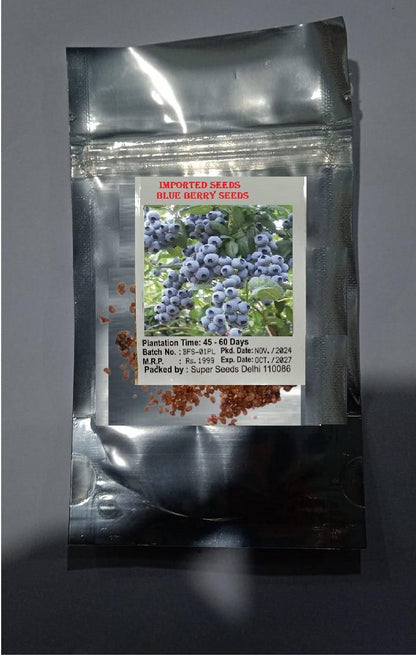 Giant Blueberry Fruit Seeds - Harappakart