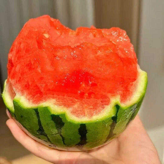 Ruby Watermelon Seeds - Harappakart