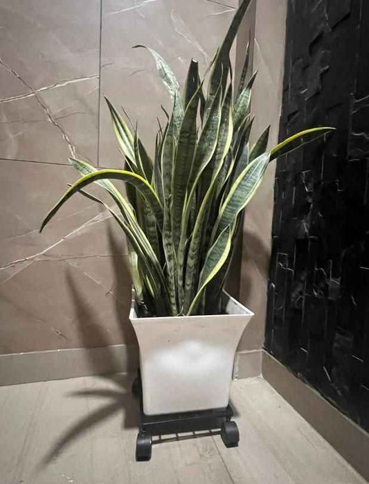 Wheel Pot Stand For Planters