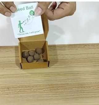 Organic Seedballs Pack of 6 ( Tulsi , Sungold , Sunflower & Morning Star ) - Harappakart