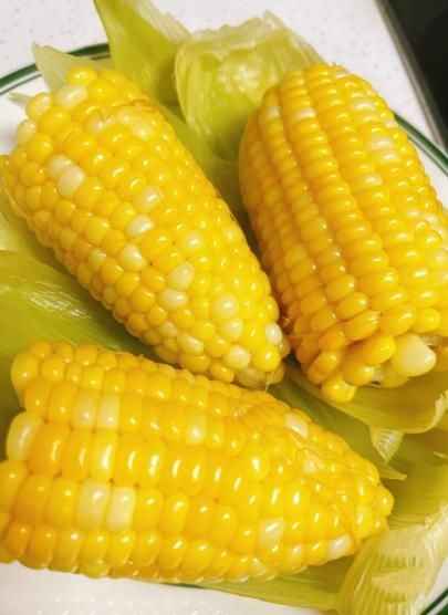 Japanese Milk Corn - Harappakart